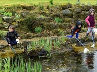 Children using nets to find out what lurks in the pond at the Royal School