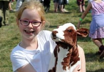 Records tumble as annual show thrives