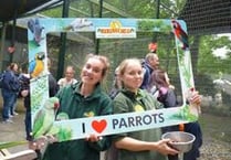 Show your love for Birdworld