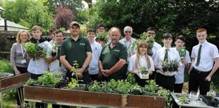 Students nurture blooming good venture