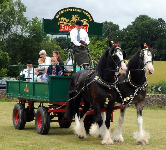 The Shire horses from Fuller’s Brewery (HD26-148-18)