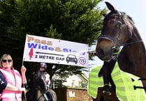 Delight at horse safety awareness drive
