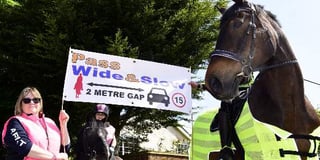 Delight at horse safety awareness drive