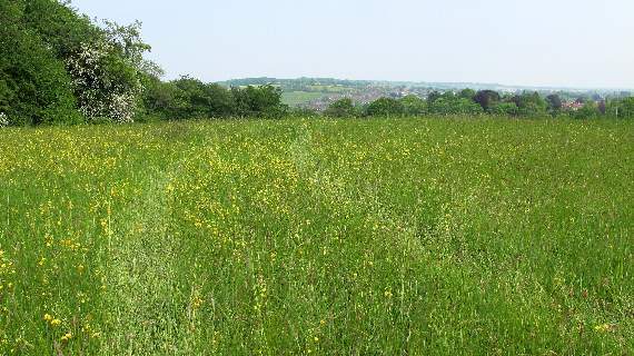 Meadow: You must get it right