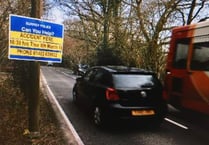 Driver sentenced following A286 death of Formula One presenter
