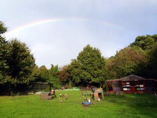 Education charity at risk of closing 