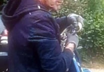 Man sought after theft from car