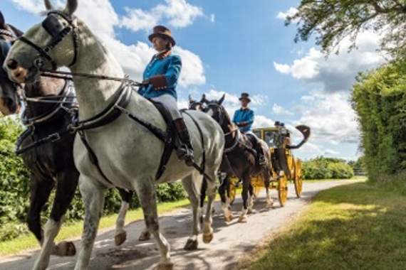 Competition to flag up the Trafalgar Way