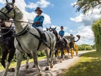 Competition to flag up the Trafalgar Way