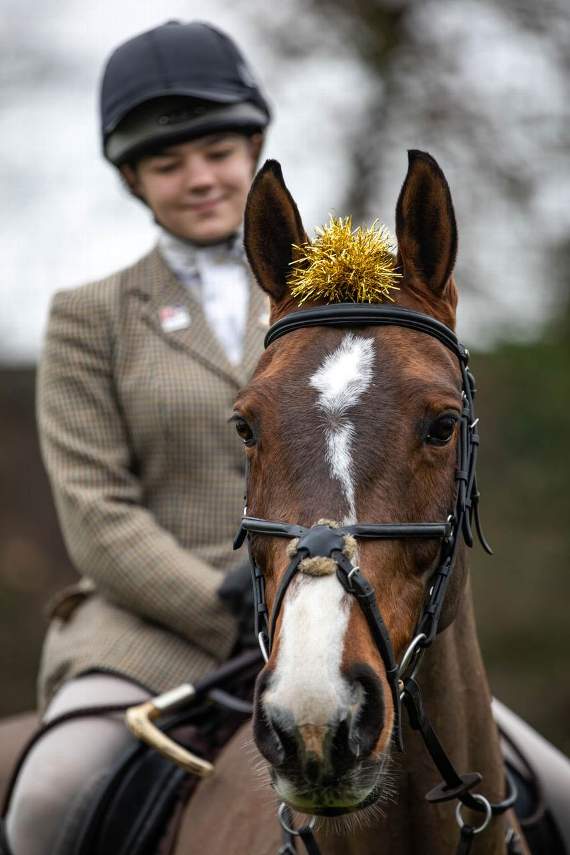 Picture by Tony Coles