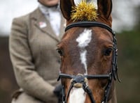 Picture by Tony Coles