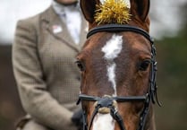 Big turnout for annual Boxing Day hunt