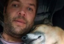 Hot air balloon blamed for dog’s death