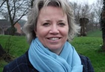 Appeals lodged against Local Plan