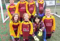 Rowledge girls secure silverware