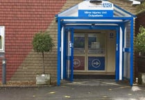 Royal Surrey governors join fight to save Haslemere Hospital minor injuries unit