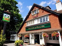 Review: Acoustic Night, The Fox & Pelican, Grayshott