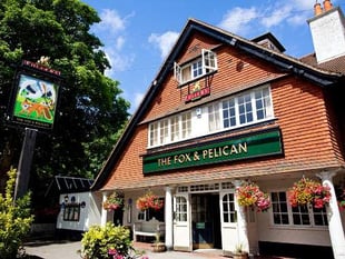 Review: Acoustic Night, The Fox & Pelican, Grayshott