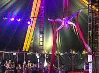 The day the circus came to school