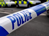 Two people injured after Frensham crash