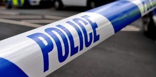 Two people injured after Frensham crash