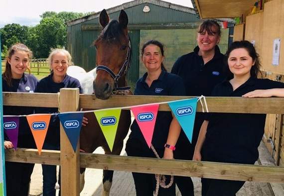 Lockwood Centre manager Patricia Spargo (second right) with staff members at the RSPCA rescue and rehabilitation facility in Wormley