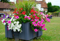 Flower project brightens up village