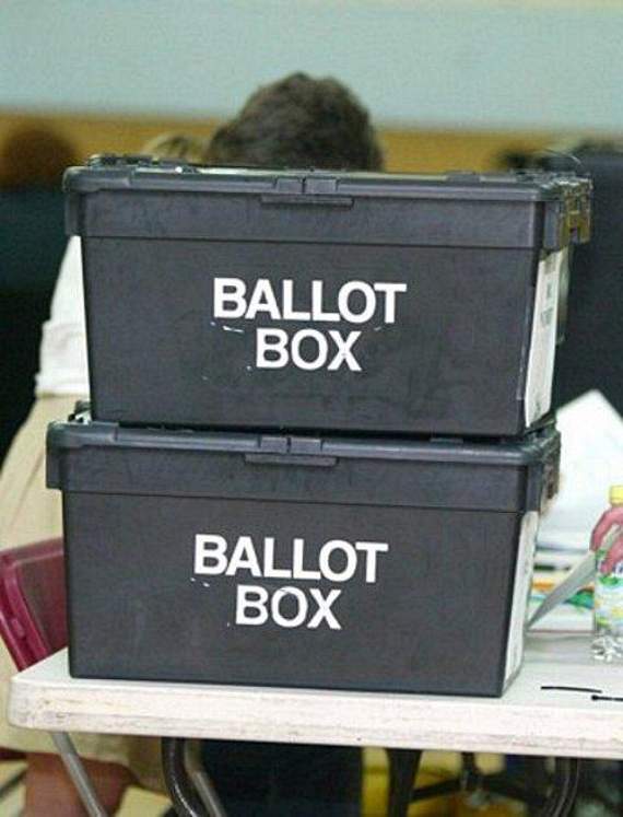 Printer error blamed for polling card woes