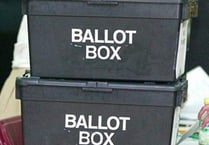 Printer error blamed for polling card woes