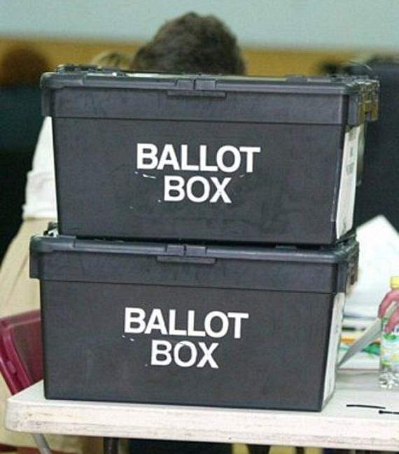 Printer error blamed for polling card woes
