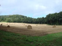 Controversial Dunsfold relief road binned