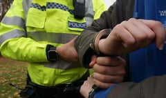 Wanted thief who preyed on elderly in Farnham and Alton found