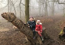 Woodland wonders for nursery youngsters
