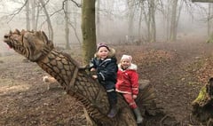 Woodland wonders for nursery youngsters