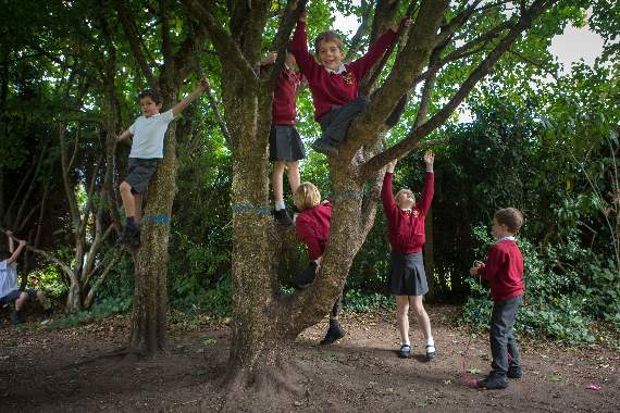 Rowledge School is in the top six per cent for its phonics results last year