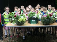 The hanging baskets are currently making an appearance around Farnham and include begonias, geraniums, helichrysum and petunias in shades of white, pink and red