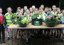 Green-fingered pupils dig for gold