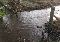 Storm Dennis increases flooding risk in River Wey valley