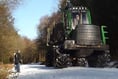 Work paused at Alice Holt Forest with predicted heavy weather on its way