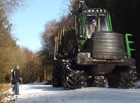 The machine making its way through the forest