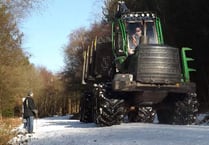 Work paused at Alice Holt Forest with predicted heavy weather on its way