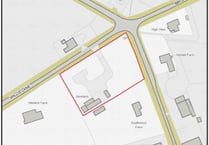 Four Marks gypsy pitch plans to be heard at EHDC's first virtual meeting