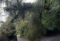Woolmer Hill to remain closed until Monday, says county