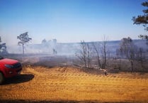 Fire crews stand down after 470 acres of rare heath destroyed at Thursley