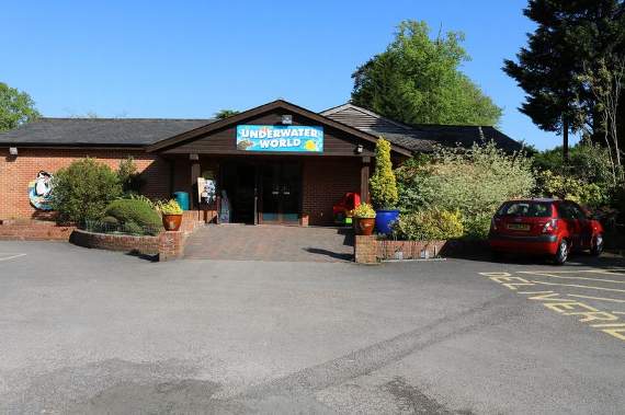Underwater World opened in 1977 (Photo by: Hannah Dodd)
