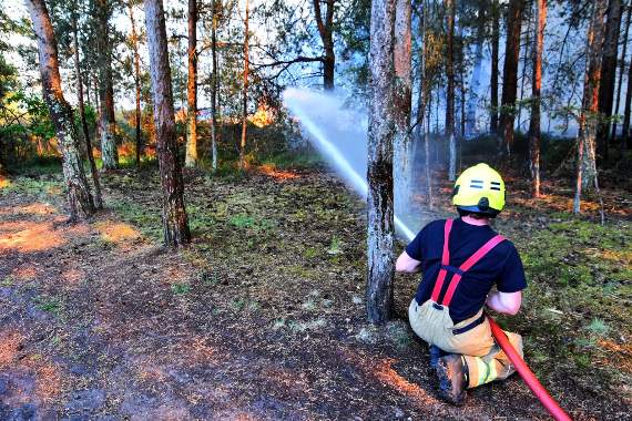 A firefighter tackles May's heath fire at Thursley Nature Reserve