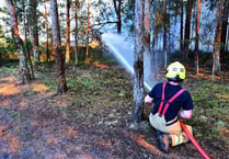 Coronavirus 'outbreak' wipes out 30 per cent of Surrey's fire cover, says union