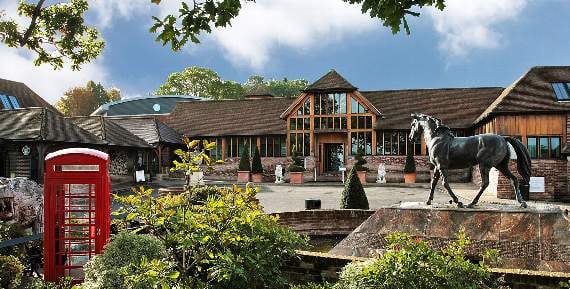 <p>Old Thorns Hotel</p>