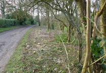 Native hedgerow axed despite campaign