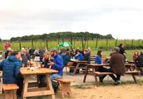 Hogs Back Brewery opens pub garden after successful trial run